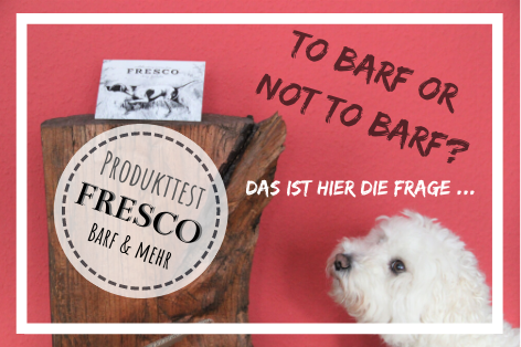 Produkttest Barfen Mit Fresco Der Blog Fur Und Uber Kleine Hunde Die Besten Tipps Und Geschichten Von Unserem Bichon Frise Madel Sophie