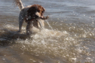 Egmond aan Zee