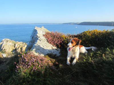 Finisterre-Bretagne