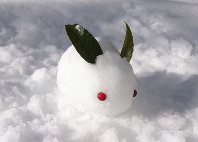 雪うさぎ 7 41fZ4sZTOcL._AC_UL210_SR210,