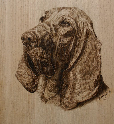 Bloodhound auf Buchenholz