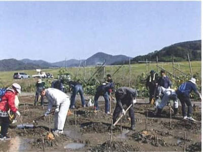あじさい公園の移植作業