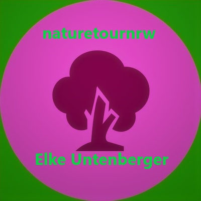 Hohe Mark/Münsterland/Ruhrgebiet 