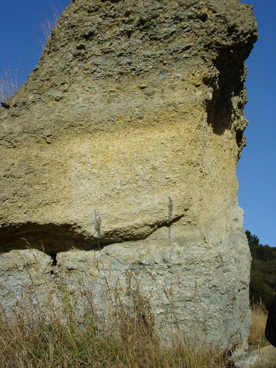 Remnant pillar of Blue Spur Conglomerate at Gabriels Gully