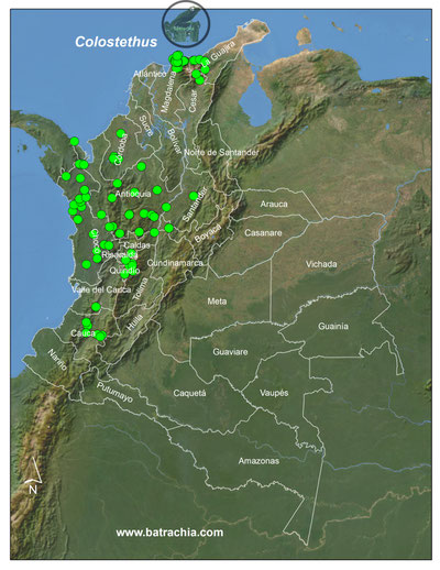 Distribución del género en Colombia