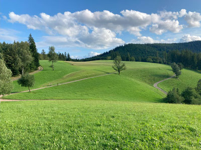 Landschaftsfoto vom Schwarzwald in der Nähe vom Harkhof, Seminarort für Intuitives Bogenschiessen bei Naturnah-Bogenschiessen
