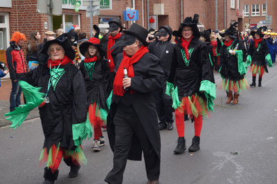 Karneval 2014, Fußgruppe im Umzug, Februar 2014