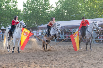 Spectacle equestre cheval toulouse photographe