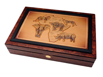 Master Coin Cases