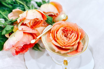 背の高さが違う春の花たち。チューリップやフリージア。多様性。