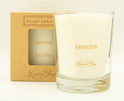 bougie mimosa