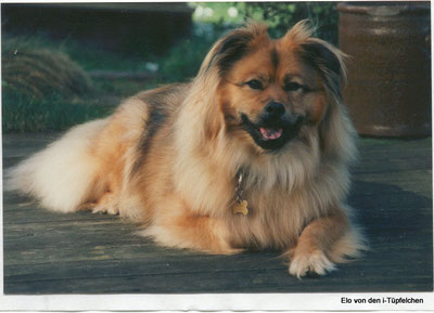 Olanda mit 11 Jahren