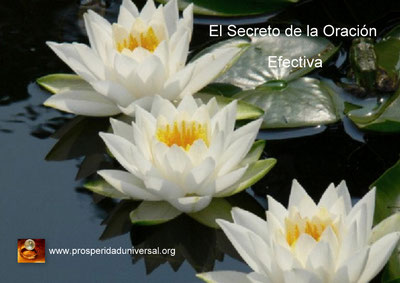 LIBRO DE ORACIÓN - ORAR CON PODER - EL SECRETO DE LA ORACIÓN EFECTIVA - PROSPERIDAWD UNIVERSAL - EL PODER DE LA FE - www.prosperidaduniversal.org