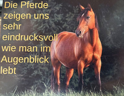 Fühlst Du den Wunsch in Dir, Deinem inneren Ruf zu lauschen? Wir laden Dich ein, Dich bei den Pferden selbst zu erleben. Im Rhytmus des Jahreskreises - schenke Dir Zeit in der Natur und bei den Pferden. Immer Mittwochs, 16 Uhr bis 17 Uhr in Eurasburg.  