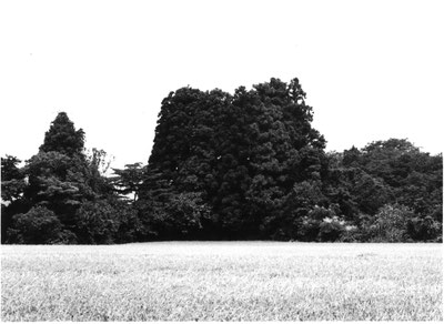 真敬寺