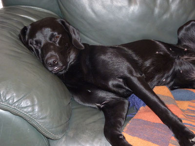 Polly relaxed