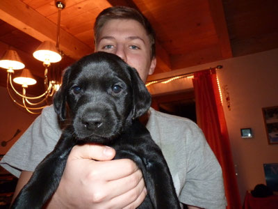 FRODO