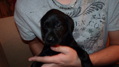 SALLY