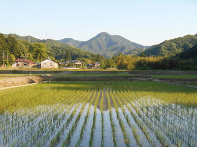 滝ヶ原町鞍掛山を愛する会　公式ホームページ　/石川県/小松市