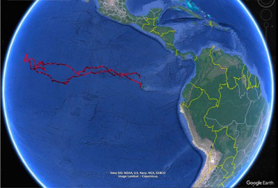 Itinéraire de migration de 12 000 km d'Elise ; Photo: Galapagos Whale Shark Project, Facebook