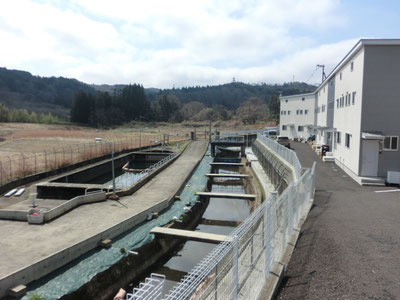葛岡城近くにあった暗渠