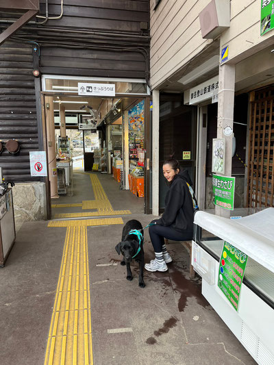 DOGSALONSEALY　ドッグサロンシーリー　表参道　南青山　外苑前　トリミングサロン　射手今日子　プードル 　トリマー　