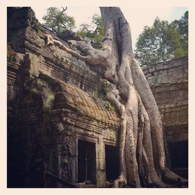 Temples d'Angkor, Siem Reap, Cambodge, 27.02.2014