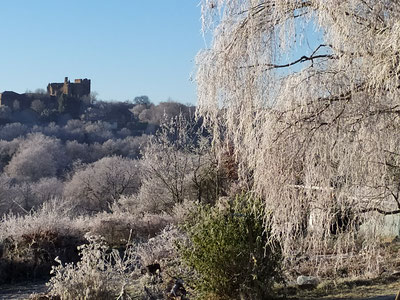 Un matin hivernal vue sur le Château de Chazeron