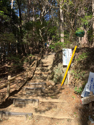 登山道に戻ります。