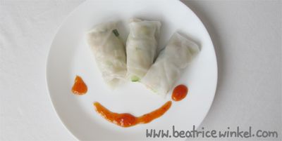 vegan Rice Paper Rolls