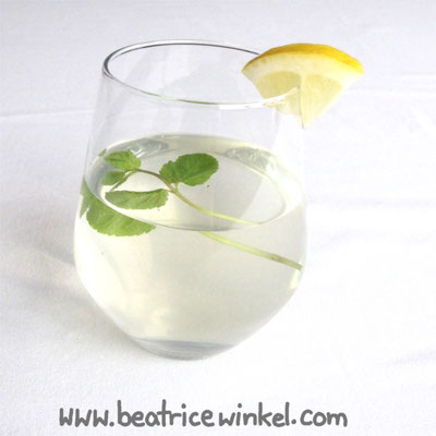 vegan elderflower lemonade with galgangal root