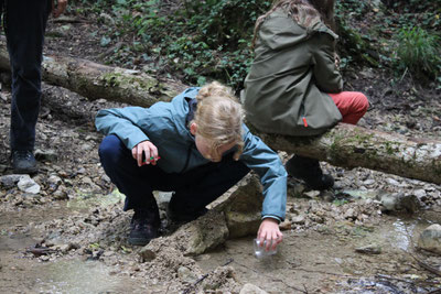 Teilnehmende untersuchen Bach - im Ferienlager werden wir zu Naturforscher und lernen viel über Gewässerökologie