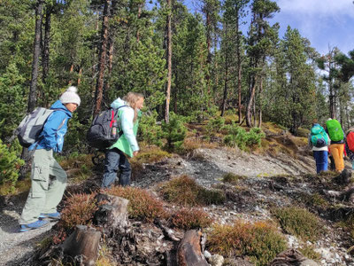 Beim Wandern im Feriencamp - Kinder erleben den Nationalpark im Herbst bei erlebnisreichen Touren