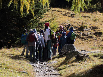 Infos über Tier- und Pflanzenwelt - mit einem Guide wird im Feriencamp der Nationalpark erkundet.
