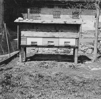 Der erste Bienenstand 
