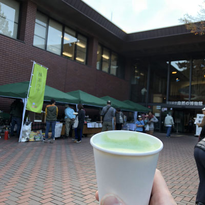 11月14日（水）