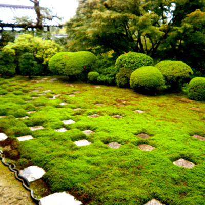 京都で日本庭園を撮影してきました♪
