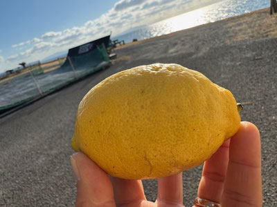 ビタミンすぃ~もありがとう。