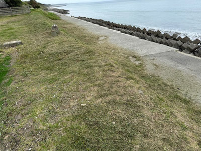 朝から草も刈ってもらいました～
