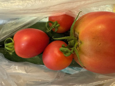 夏野菜も！！ありがたや～