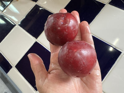 昨日のいただきもの♪甘酸っぱい～～