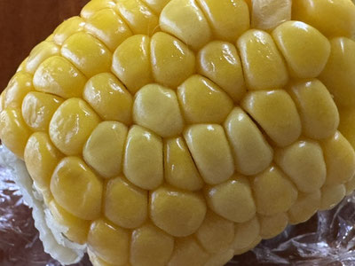 先日いただいたトウモロコシ!甘かった~~♪