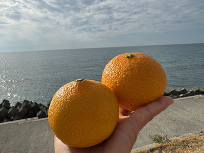 めちゃ美味しそう~~~💛💛ありがとう~~