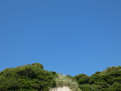 雲一つない空！
