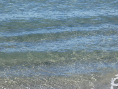 やっぱりこの時期は海もスケスケ～♪