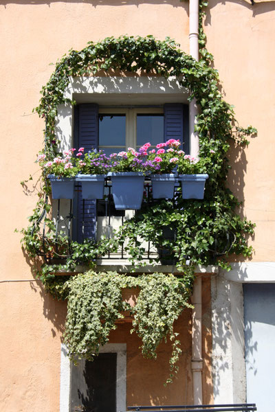 Bild: blumengeschmückter Balkon in Apt