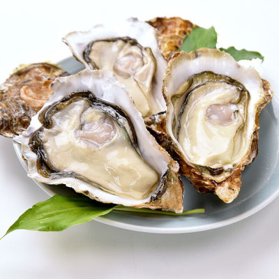 牡蠣には亜鉛やグリコーゲンが多く含まれています。