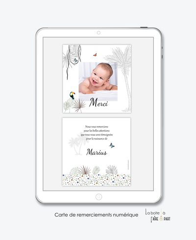  carte de remerciement naissance garçon numérique-remerciements naissance électronique-remerciements numérique-pdf numérique-remerciement connecté-carte de remerciement  à imprimer-photo-toucan-palmier-jungle-tropique-savane-