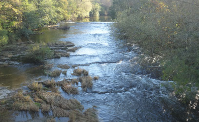 Very shallow, the Severn at Newtown