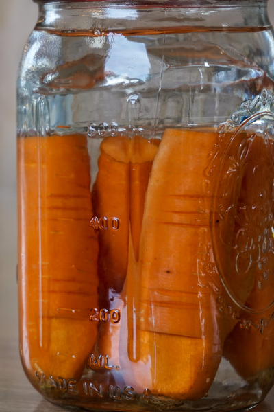 Karotte Ferment Rezept